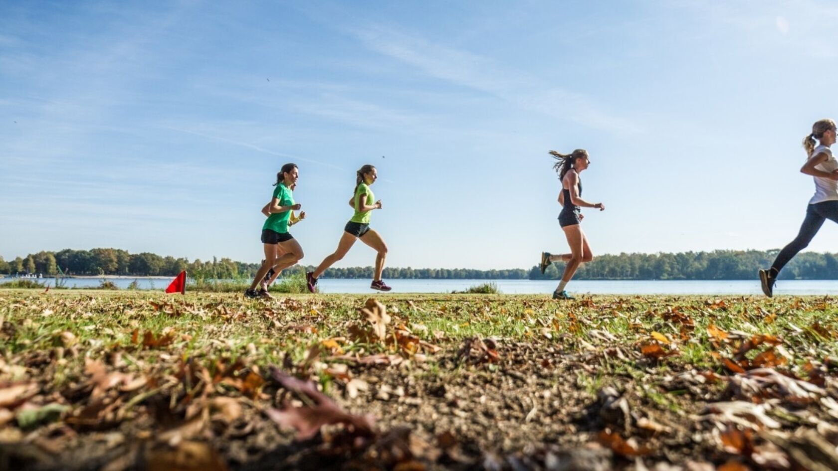Spektakel gegarandeerd bij Vidiled Warandeloop