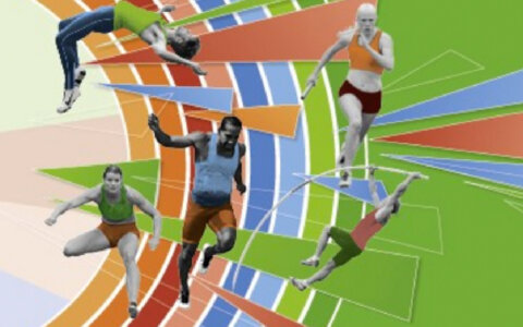 Absoluut topveld in Lisse