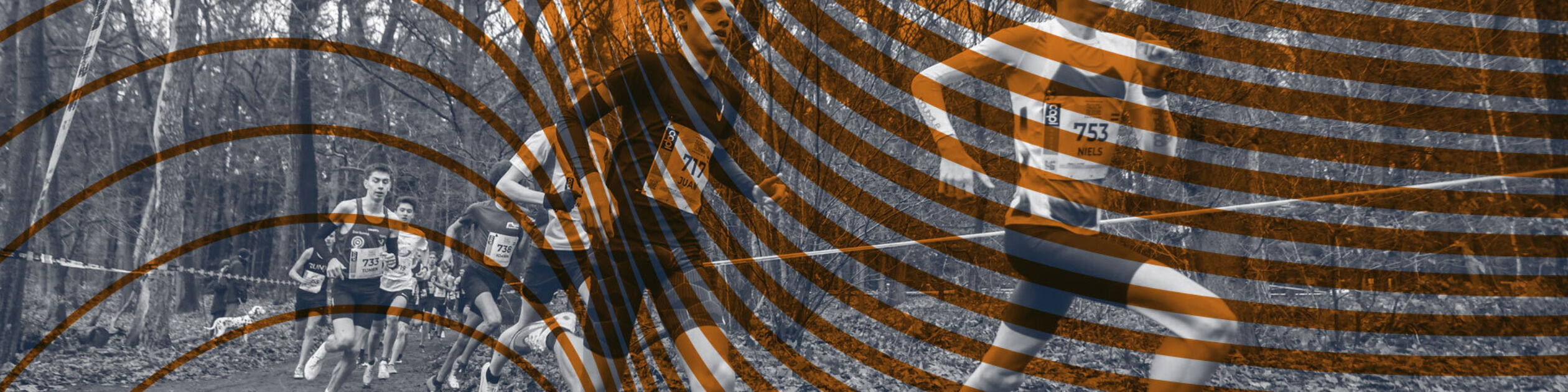 NK Cross website1920x800