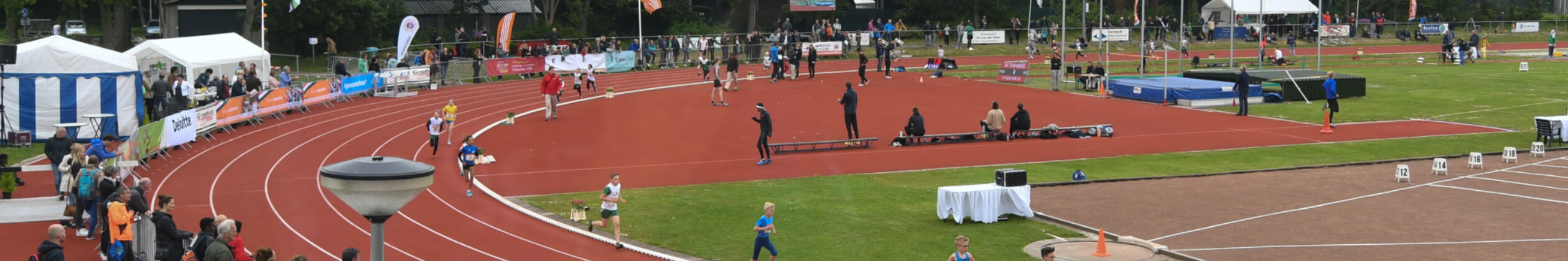 header landingspage TF