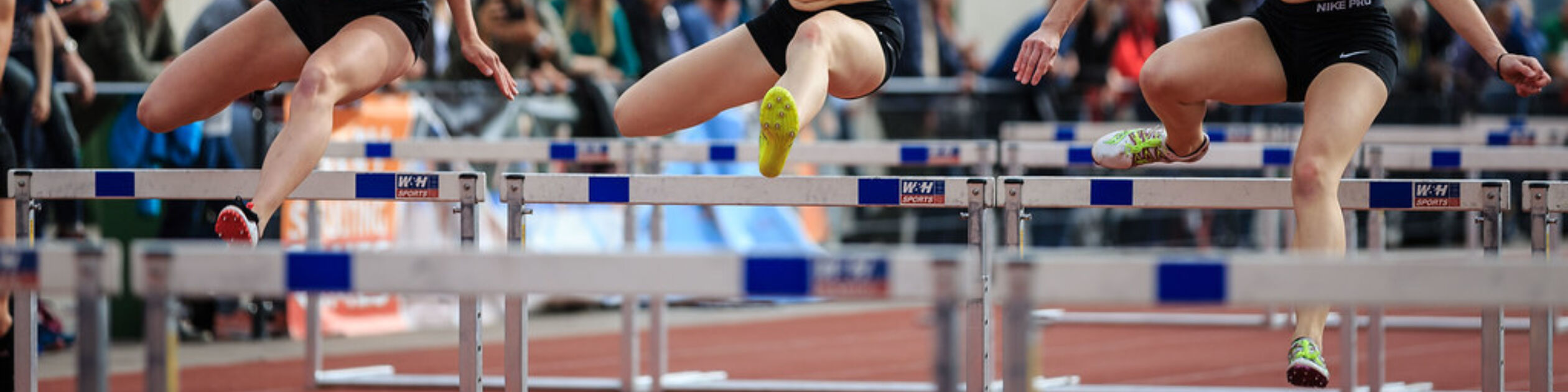 Header Harry Schulting Games